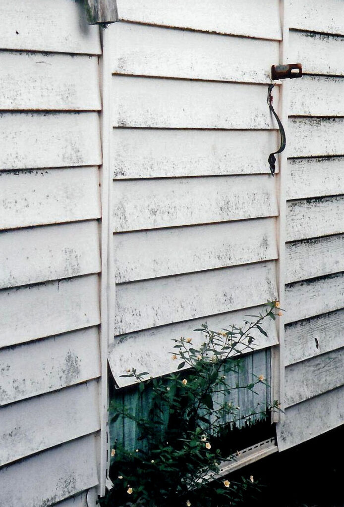 Siding care