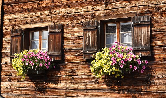 natural wood siding