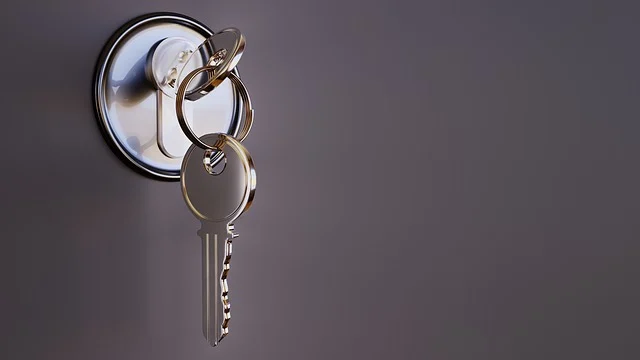 new homeowners locks
